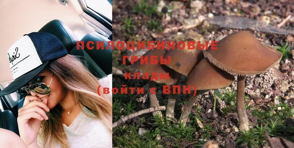 ALPHA PVP Алзамай